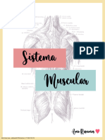 Sistema Muscular