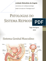 Patologias Do Sistema Reprodutor