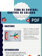 Capitulo 12 - Sub Sistema de Control