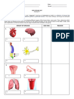 Sci.10 Activity 1 Odd Organ Out