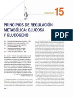 Pricipios de Regulación Metabólica - Glucosa y Glucogeno