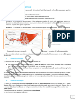 Cours Mucle Rénové