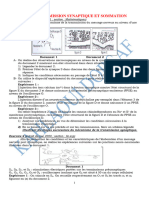 Serie Transmission Synaptique Et Sommation