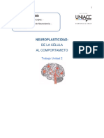 NEUROPLASTICIDAD