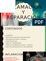 2patologìa Inflamación y Reparación