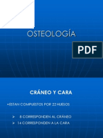 OSTEOLOGÍA