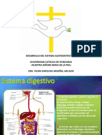 Desarrollo Del Sistema Gastrointestinal