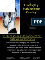 Fisiologia y Metabolismo Cerebral