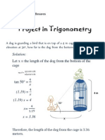 Project in Trigonometry