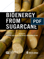 Bioenergy From Sugar Cane by Fava Neves Kalaki 2021