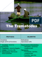 8-Trematodes Ibrahim2016