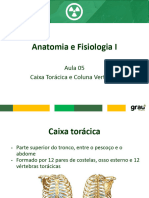 Aula 05 - Anatomia