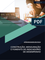 Construção, Mensuração e Fomento de Indicadores de Desempenho