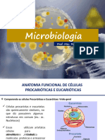 Anatomia Funcional Das Células Bacterianas