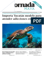 Jornada Maya Encontrado