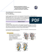 Embriología Urogenital DR Carlos J Quiróz