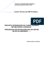 Relatório de Estruturação de RH - P.I