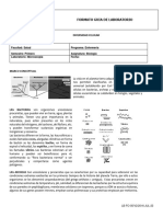 LB-FO-05 Lab 3 Diversidad Celular FUNE