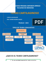 S6. Teoria Tejido Cartilaginoso