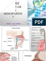 2 Clase HisopadosCómo Realizar Los Hisopados