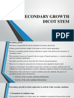 Sec Growth Dicot Stem