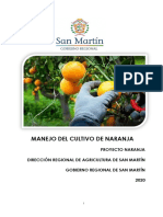 Guia Tecnica Cultivo de La Naranja - Drasam