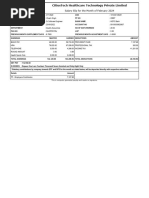 CT13529 Payslip Feb2024