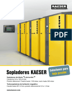 P-900-AR-5-23 - 42-4876 Modelos Kaeser