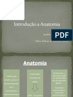 Introdução À Anatomia