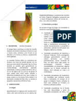 Mango Ficha Tecnica