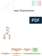 Pulmonary Hypertension