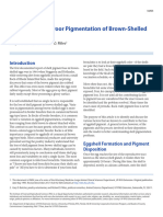 Factor Causing Poor Pigmentation of Brown Shell Eggs