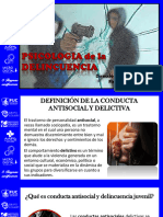 Psicologia de La Delincuencia