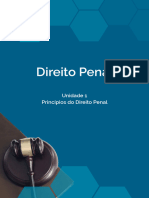 Ebook Da Unidade - Princípios Do Direito Penal