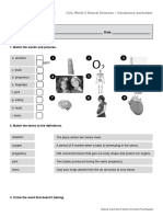 Our Bodies Vocab Worksheet