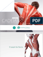 SLIDESCurso Cadeias Muscularesdo Tronco