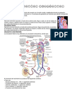 Cardiopatias Congénitas