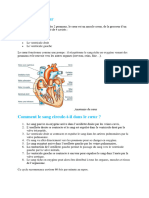 Auscultation Cardiaque