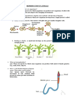 Reproduction in Animals