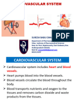 Cardiovascular System - Structure of Heart