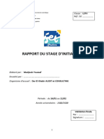 YOUSSEF MEDJOUB L2TV Rapport de Stage Dinitiation