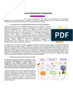 Tema 3 PDF