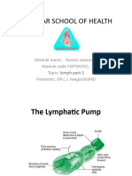 Lymph Part 2