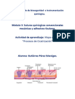 Fases de Cicatrizaci-N Edwviges Guti-Rrez P-Rez