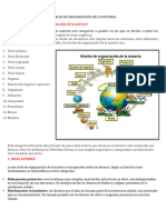 Niveles de Organización de La Materia