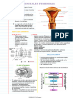 Vias Genitales Femeninas