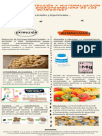 ¿Cómo La Extrusión y Nixtamalización Afectan La Biodisponibilidad de Los Nutrientes