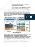 Gram Positive V Gram Negative