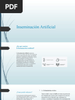 Inseminación Artificial 2