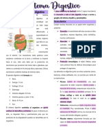 1 - Sistema Digestivo
